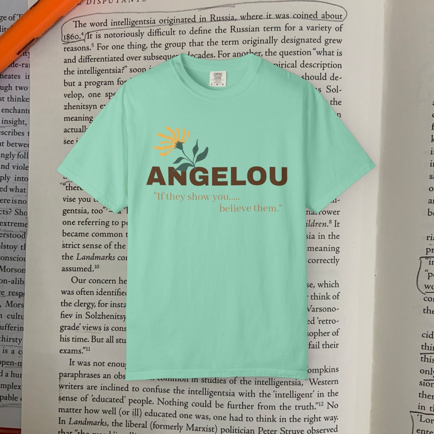 Angelou 'if they show you.."