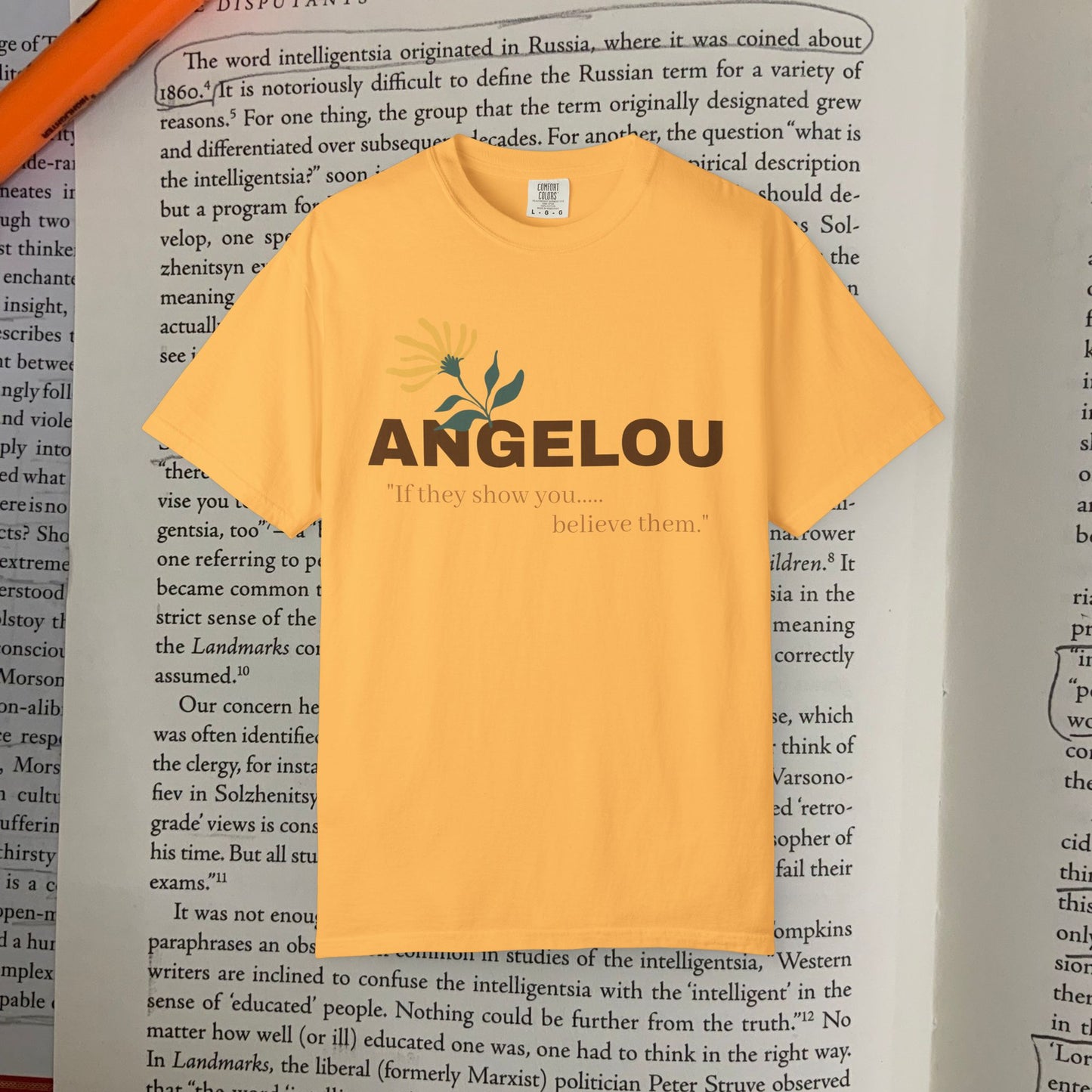 Angelou 'if they show you.."