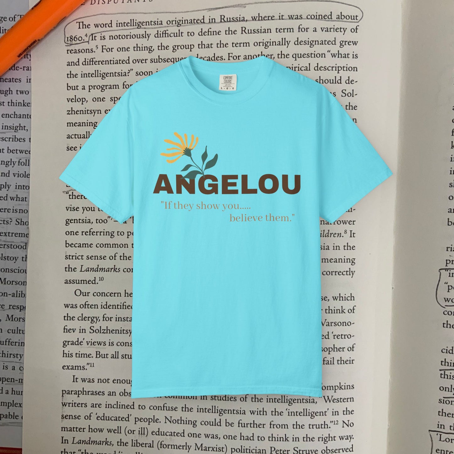 Angelou 'if they show you.."