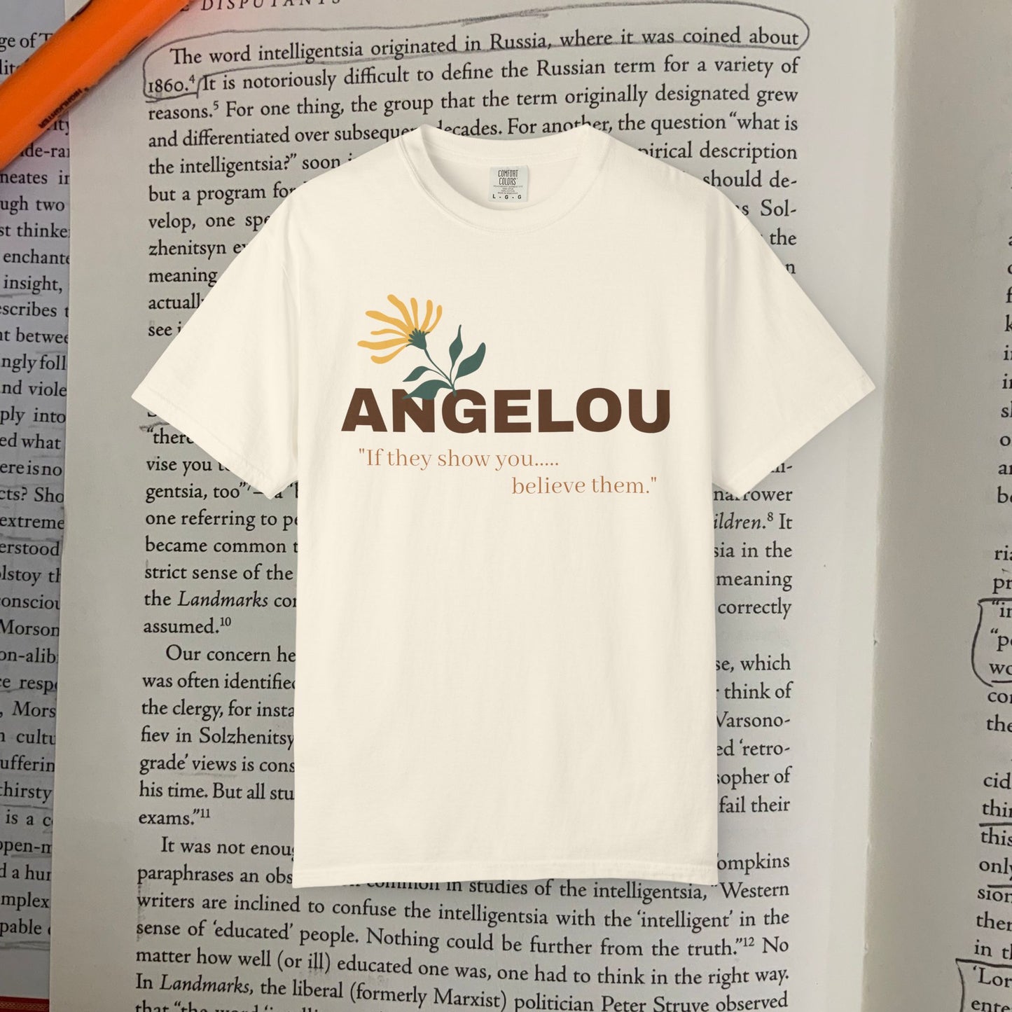 Angelou 'if they show you.."