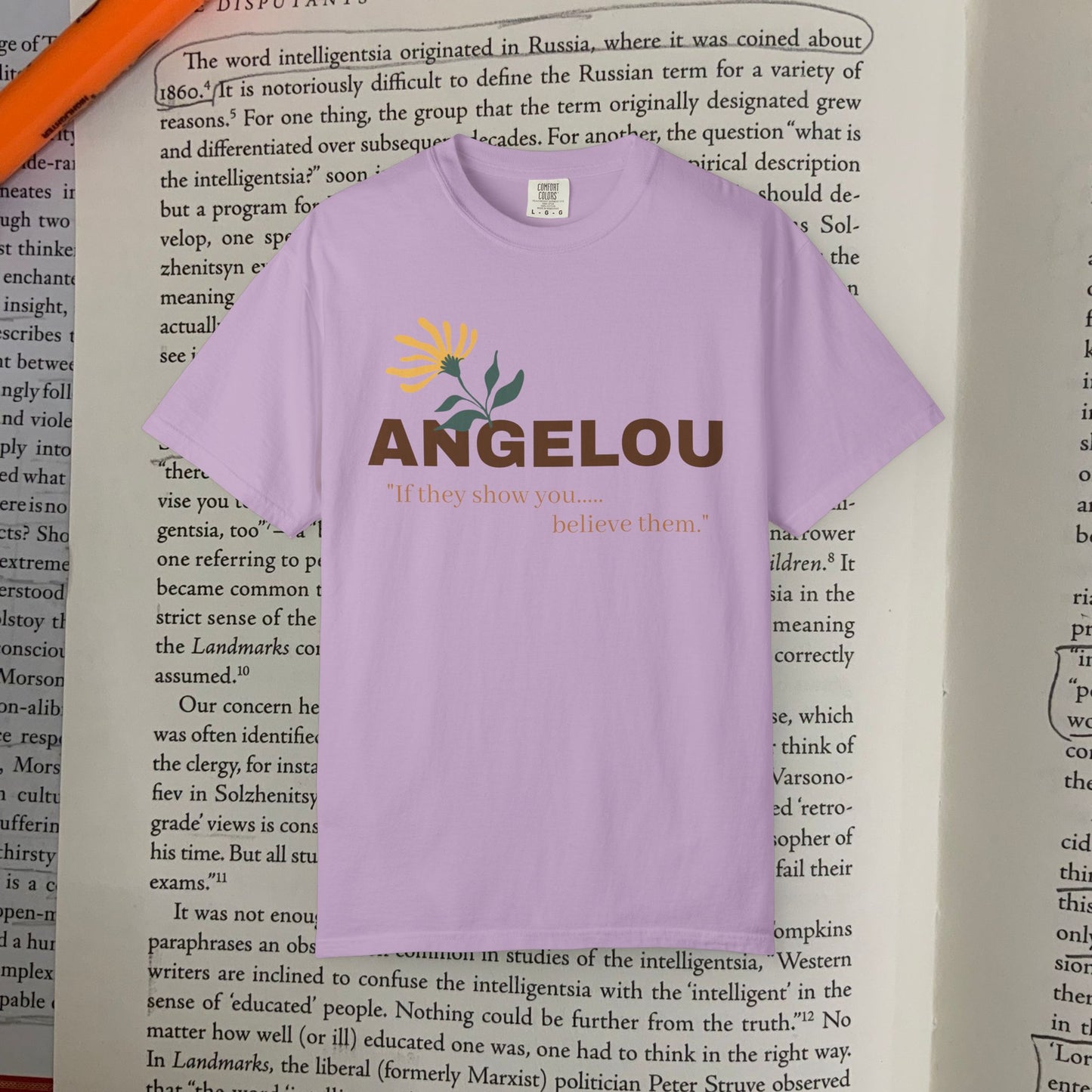 Angelou 'if they show you.."