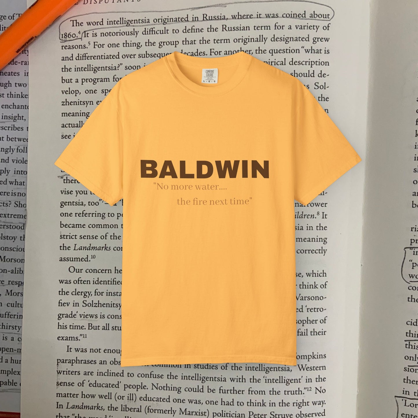 Baldwin 'fire next time.."