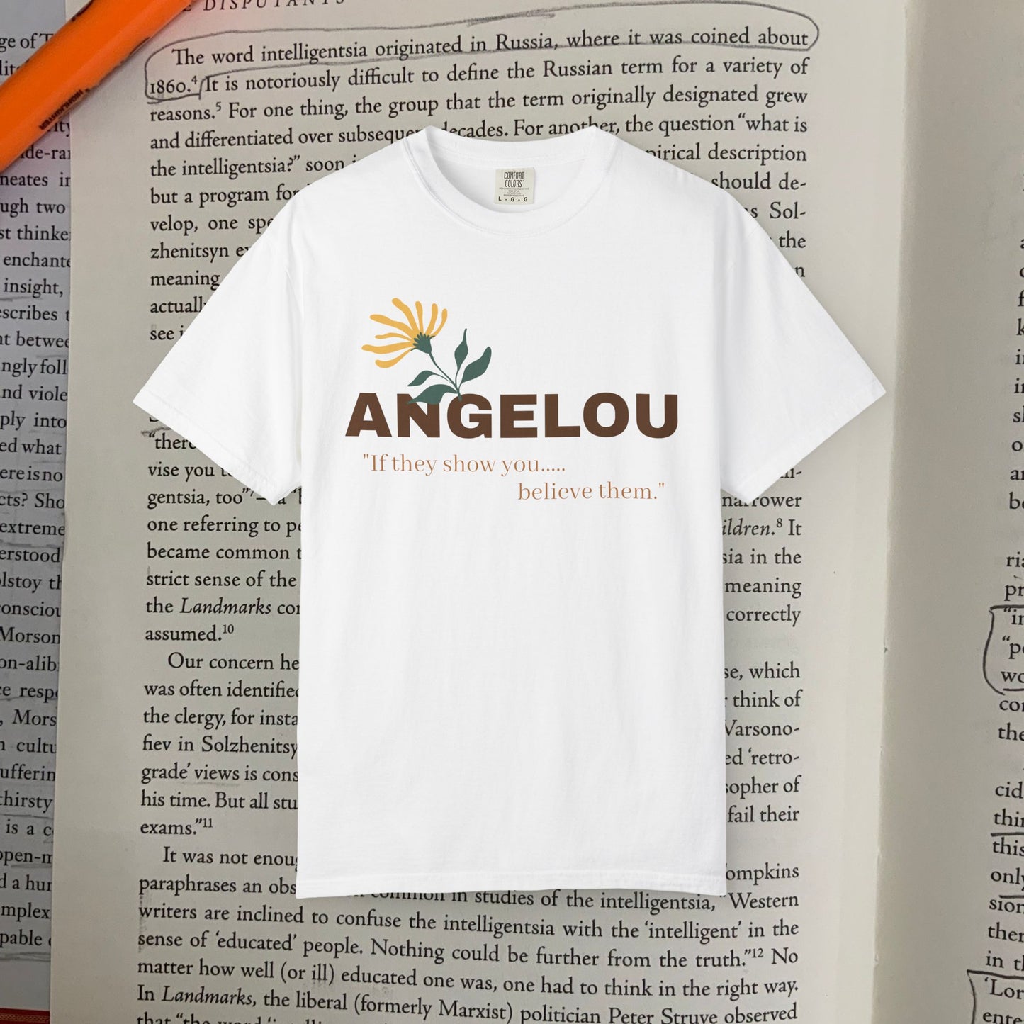 Angelou 'if they show you.."