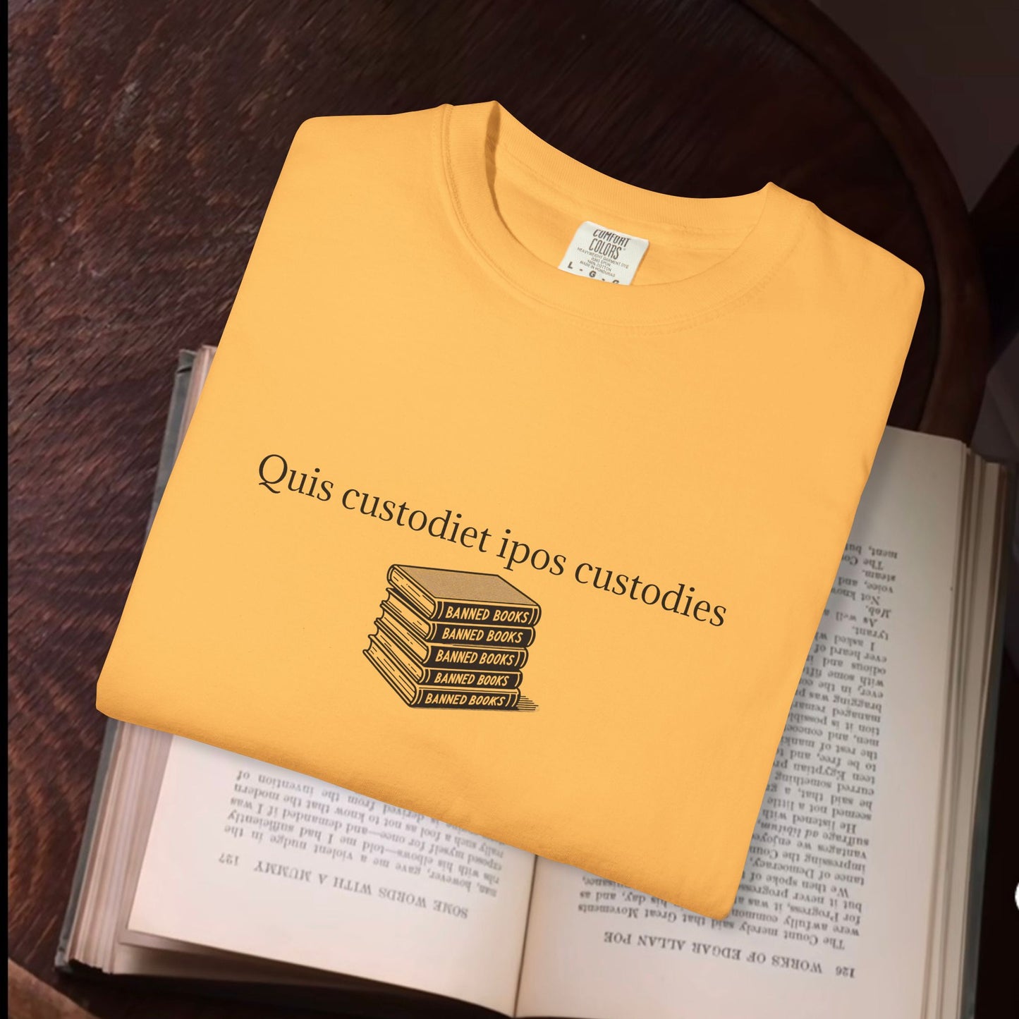 Quis custodiet ipos custodies
