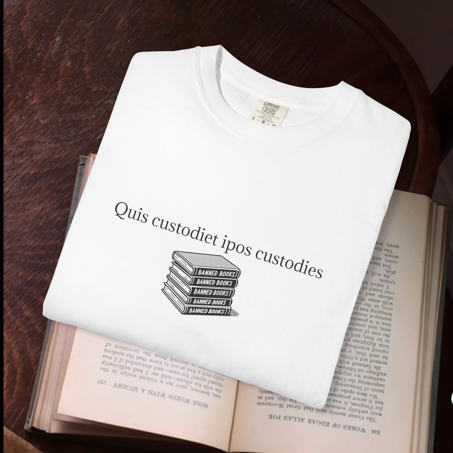 Quis custodiet ipos custodies