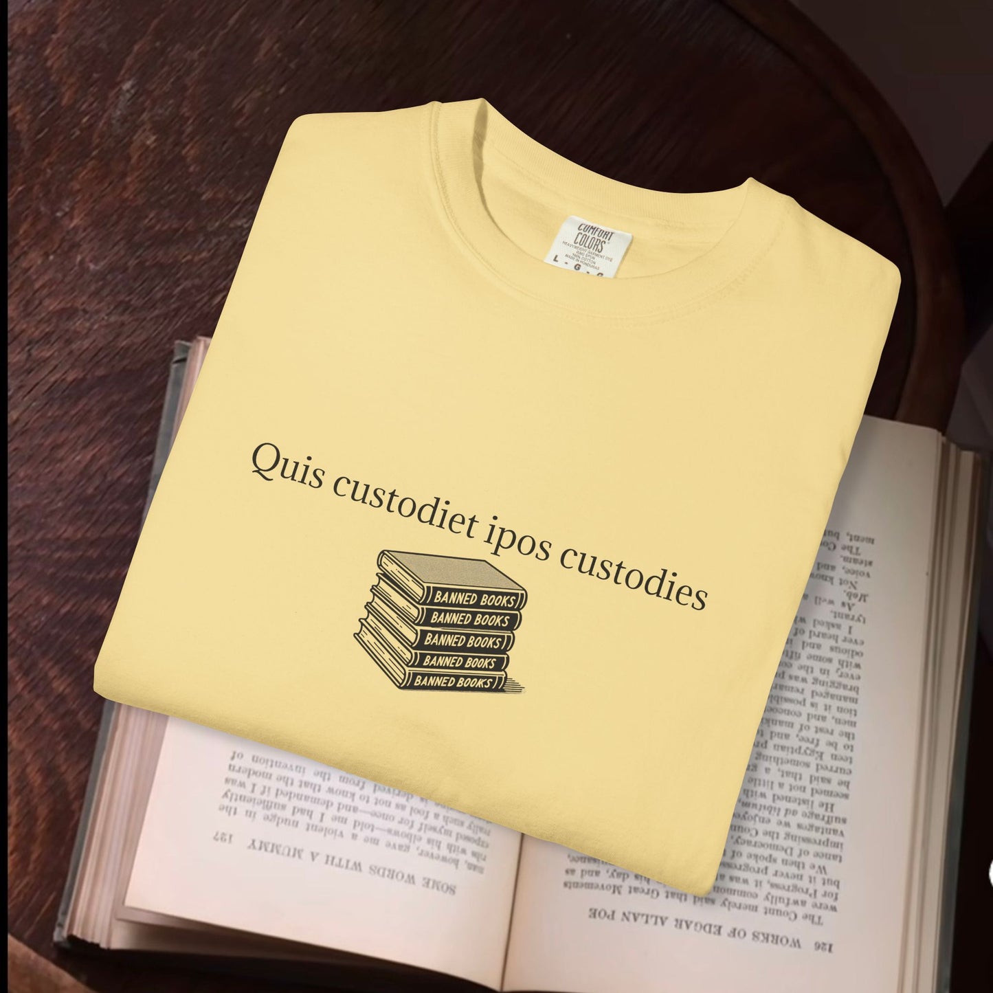 Quis custodiet ipos custodies