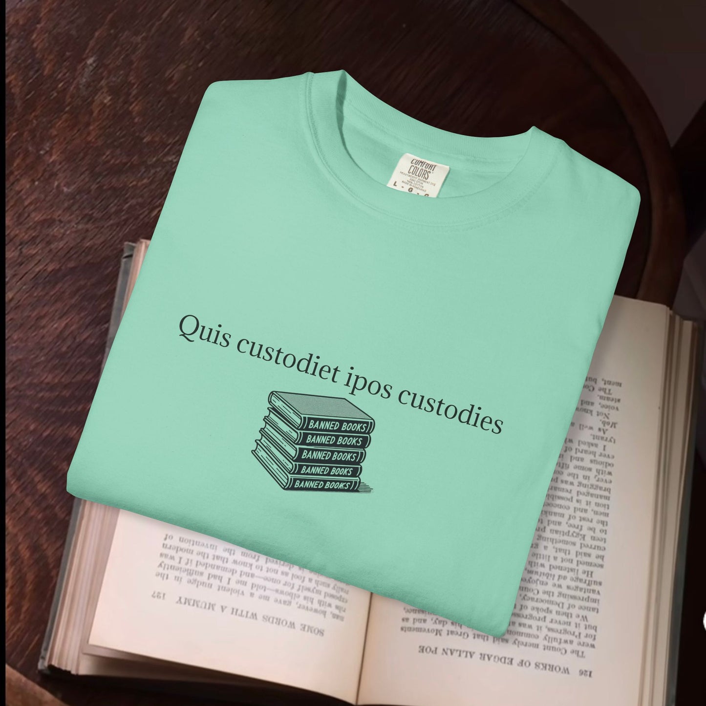 Quis custodiet ipos custodies