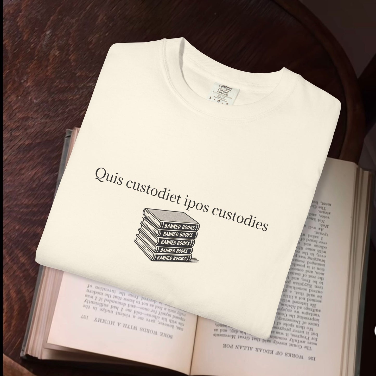 Quis custodiet ipos custodies