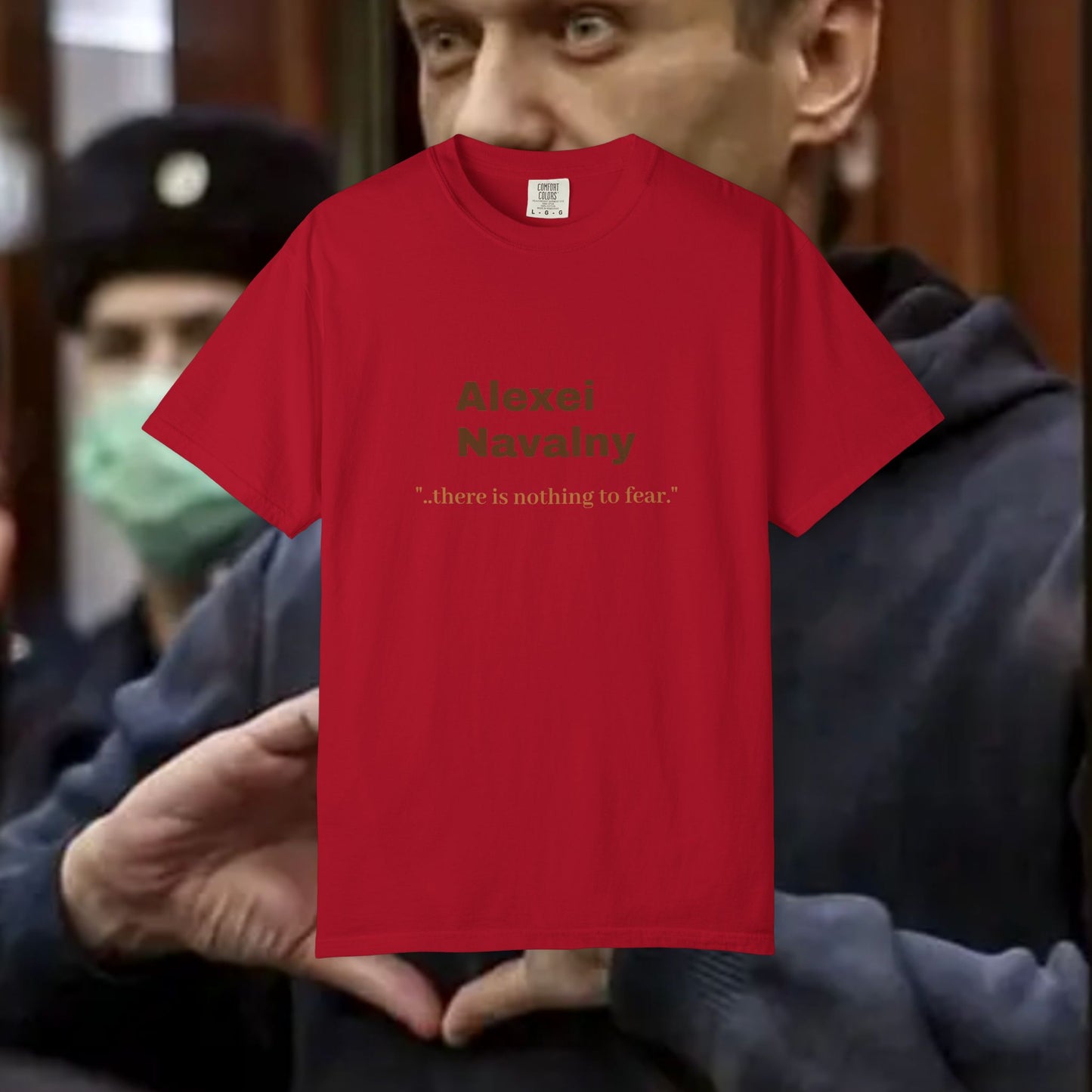 Alexei Navalny 'there is nothing to fear."