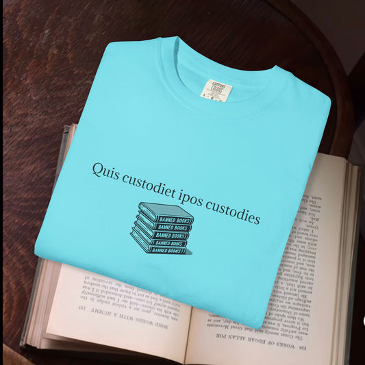 Quis custodiet ipos custodies