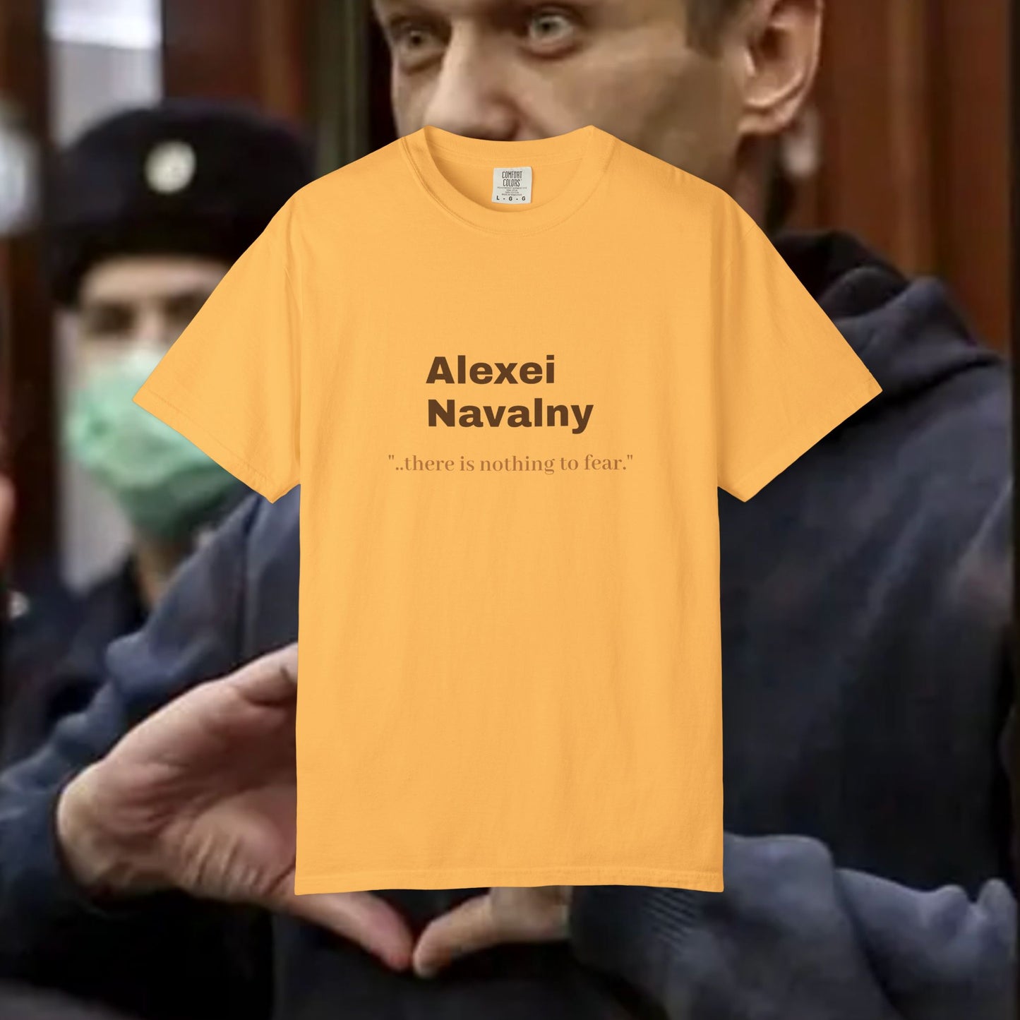 Alexei Navalny 'there is nothing to fear."
